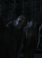 twd1124_scnet_1733.jpg