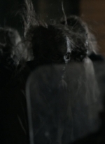 twd1124_scnet_1928.jpg