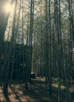 talesoftwd104_scnet_0813.jpg