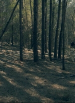 talesoftwd104_scnet_1199.jpg