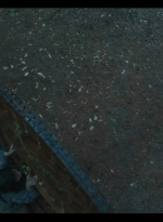 talesoftwd106_scnet_2018.jpg