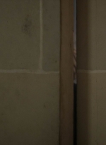 twddaryldixon101_scnet_2313.jpg