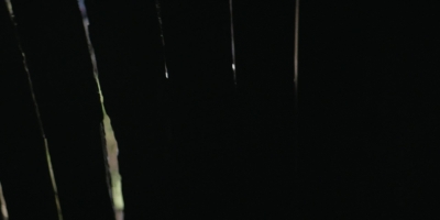 twddaryldixon102_scnet_2076.jpg
