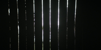 twddaryldixon102_scnet_2083.jpg