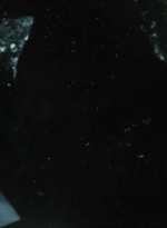 twddaryldixon104_scnet_0133.jpg