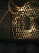 twddaryldixon105_scnet_2042.jpg
