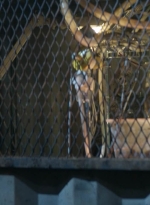 twddaryldixon105_scnet_2043.jpg