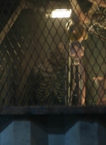 twddaryldixon105_scnet_2044.jpg