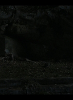 twddaryldixon201_scnet_0643.jpg