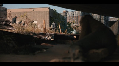 twddeadcity101_scnet_0087.jpg