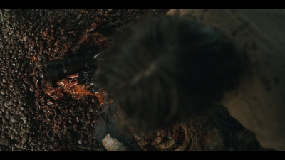 twddeadcity101_scnet_0129.jpg