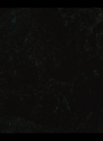 twddeadcity101_scnet_1951.jpg