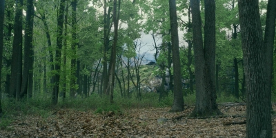 Click to view full size image
==============
twd_theoneswholive105_scnet_2860.jpg twd_theoneswholive105_scnet_2860.jpg