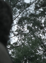 twd_theoneswholive106_scnet_1185.jpg