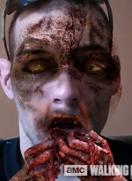 twd-instagram-00203.jpg