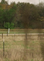 worldbeyond101_scnet_0098.jpg