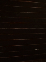 worldbeyond103_scnet_0855.jpg