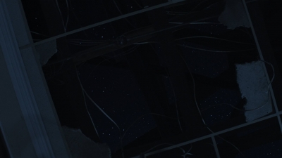 worldbeyond108_scnet_1870.jpg