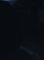 worldbeyond201_scnet_1505.jpg