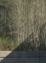 worldbeyond203_scnet_0627.jpg
