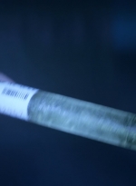 worldbeyond206_scnet_1373.jpg