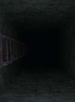 worldbeyond209_scnet_0157.jpg