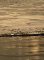 ftwd202_0003.jpg