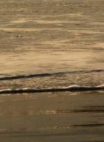 ftwd202_0004.jpg