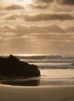 ftwd202_0011.jpg
