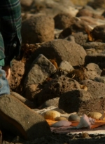 ftwd202_0090.jpg