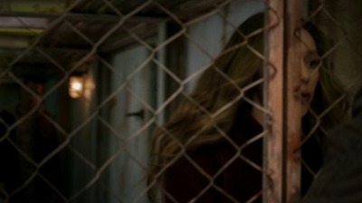 ftwd205_2211.jpg
