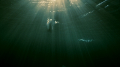 Click to view full size image
==============
ftwd205_3206.jpg ftwd205_3206.jpg