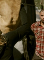 ftwd205_3067.jpg