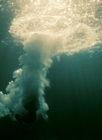 ftwd205_3208.jpg