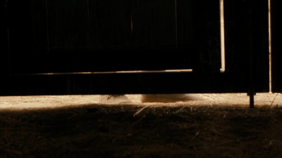 ftwd213_1406.jpg