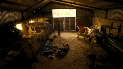 ftwd213_1415.jpg