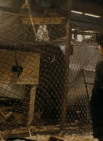 ftwd213_0131.jpg