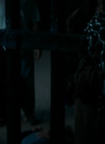 ftwd213_2565.jpg