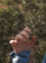 ftwd303_1462.jpg
