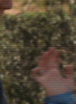 ftwd303_1464.jpg