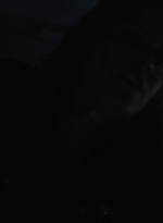 ftwd311_0909.jpg