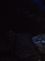 ftwd311_0923.jpg