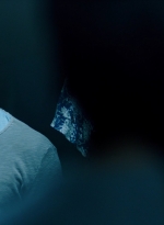 ftwd311_1500.jpg