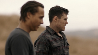 ftwd312_1600.jpg