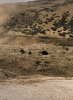 ftwd312_1623.jpg