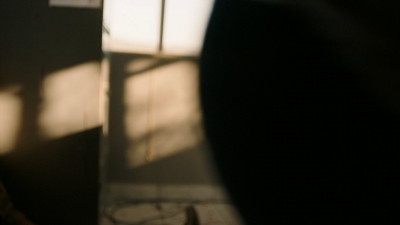 ftwd316_1146.jpg