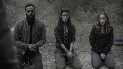 ftwd403_0345.jpg