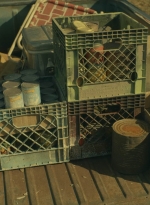 ftwd403_1300.jpg