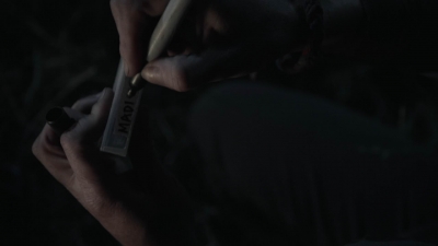 ftwd408_2554.jpg
