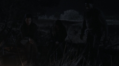 ftwd408_2561.jpg